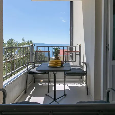 Pejic, A4 Blue, New! *