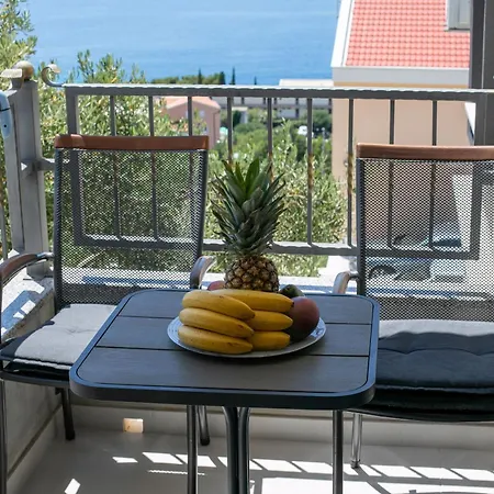 Pejic, A4 Blue, New! *